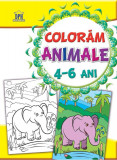 Cumpara ieftin Colorăm - Animale - 4-6 Ani