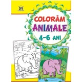 Coloram - Animale - 4-6 Ani - Editura DPH