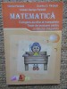Culegere auxiliar al manualelor pentru MATEMATICĂ - V.P&acirc;r&acirc;ială, D. P&acirc;r&acirc;ială, 2004, Aramis