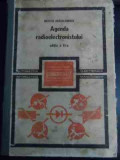 Agenda Radioelectronistului - Nicolae Dragulanescu ,545040