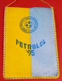 Fanion fotbal - PETROLUL `95