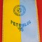 Fanion fotbal - PETROLUL `95