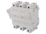 Separator cu Fuzibil 22x58mm pentru Șină DIN 100A 690VAC