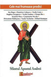 Sf&Atilde;&cent;ntul Apostol Andrei. Cele mai frumoase predici - Paperback brosat - Pr. Prof. Ion Buga - Lumea credin&Aring;&pound;ei