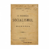 Alexandru A. C. Sturdza, Ce &icirc;nseamnă socialismul &icirc;n Rom&acirc;nia, 1896