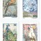 |Romania, LP 1482/1999, Pasari decorative, MNH