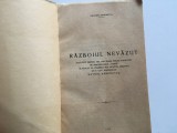 Cumpara ieftin SF. NICODIM AGHIORITUL, RAZBOIUL NEVAZUT. EDITAT DE IEROM. GAVRIIL AGHIORITUL