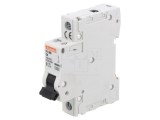 &Icirc;ntrerupător Supracurent 230V 6A 1P C