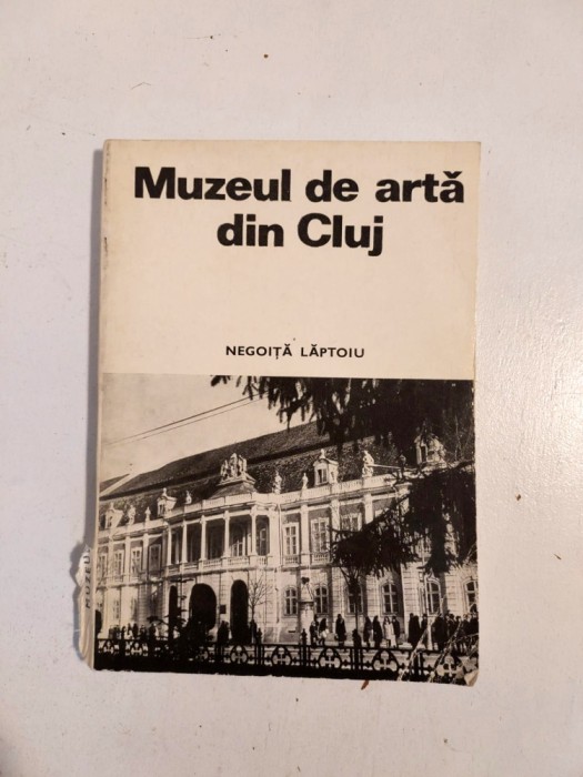 Negoita Laptoiu - Muzeul de arta din Cluj, 1984