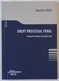 DREPT PROCESUAL PENAL , SINTEZE DE SEMINAR , TESTE GRILA , SPETE de ANASTASIU CRISU , 2013