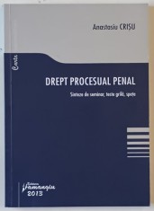 DREPT PROCESUAL PENAL , SINTEZE DE SEMINAR , TESTE GRILA , SPETE de ANASTASIU CRISU , 2013