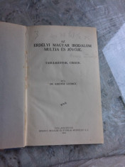 AZ ERDELYI MAGYAR IRODALOM MULTJA ES JOVOJE - KRISTOF GYORGY (CARTE IN LIMBA MAGHIARA, ISTORIA LITERATURII MAGHIARE) foto