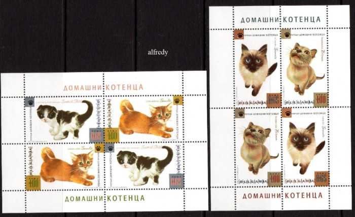 BULGARIA 2013, Fauna, Pisici, serie neuzata, MNH