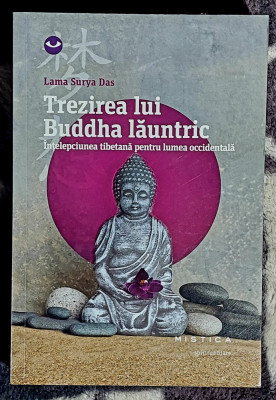 Trezirea lui Buddha launtric - Lama Surya Das foto