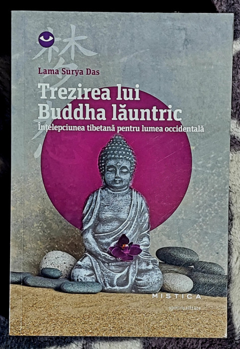 Trezirea lui Buddha launtric - Lama Surya Das