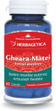 GHEARA MATEI 60CPS