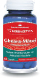 GHEARA MATEI 60CPS, Herbagetica