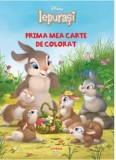 Cumpara ieftin Prima mea carte de colorat. Iepurasi/***
