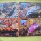 HOPCT MAXIMA NR 1069 SET 4 MAXIME -NIUE 1999 FAUNA MARINA -FAUNA