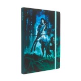 Cumpara ieftin Insights Harry Potter: Centaurs Softcover Notebook
