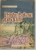 Printre Balene Si Pinguini - Mihail Pop - Ilustratii: Cllelia Otone