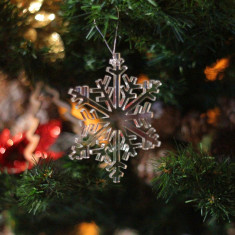 Ornament Brad - Fulg de Zapada Plexiglas foto