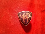 Insigna Sport SUA - Asociatia Fotbal Western New York , metal si email , h=2,1cm