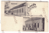 3523 - DOBRA, Hunedoara, Litho, Romania - old postcard - unused, Necirculata, Printata