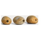 Piatra In-Line Stonze Pallatrax Mediu 50 Gr