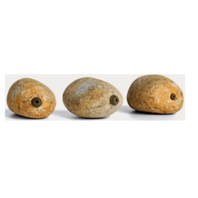 Piatra In-Line Stonze Pallatrax Mediu 50 Gr foto