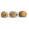 Piatra In-Line Stonze Pallatrax Mediu 50 Gr