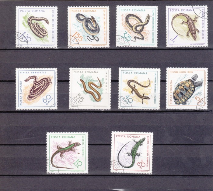 TSV @ - 1965 LP 601 REPTILE, STAMPILAT