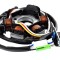 Stator Peugeot Buxy/Speedfight-motor orizontal