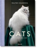 Walter Chandoha: Cats, 2019