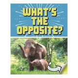 What's The Opposite?: A Turn-And-See Book (What's Next?)