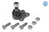 Pivot brat suspensie Nissan Primastar; Opel Vivaro A, Vivaro A Sasiu; Renault Trafic II, Trafic II Sasiu Motor 1.9 dCi, 1.9 dCi 100, 1.9 dCi 100,, Meyle