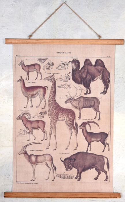 Poster mare cu animale salbatice din Africa LUP103