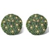 VidaXL Arbuști ornamentali artificiali, 27 cm cu LED-uri solare, 2 buc 270057