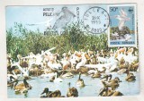 Bnk fil Maxima Pelicani Tulcea 1985, Romania de la 1950, Fauna
