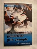 Managementul proiectelor prin exemple, Tannguy Le Dantec, 2009