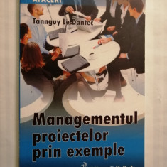 Managementul proiectelor prin exemple, Tannguy Le Dantec, 2009