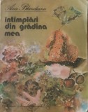 Intamplari din gradina mea Ana Blandiana - Ilustratii Doina Botez