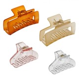 Set Clame Păr Damă, Multicolor, Dimensiuni Diferite, 4 Bucăți, Oem