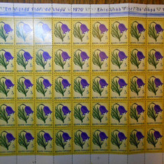 Coli diferite din seria flori de stepa, 1970, nestampilat