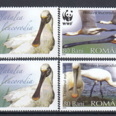 ROMANIA 2006 LP 1744 a PASARI PROTEJATE LOPATARUL EURASIAN WWF SERIE+VINIETA MNH