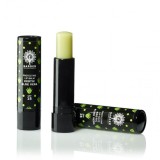 Cumpara ieftin Balsam Buze GARDEN Aloe Vera Exotică SPF15 5.2g - Hidratare, Protecție Solară, Ceară Albine, Unt Shea, Ulei Avocado, Fără Parabeni