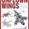 Unflown Wings: Soviet/Russian Unrealised Aircraft Projects 1925-2010