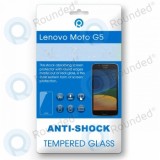 Motorola Moto G5 (XT1675, XT1676) Sticlă călită
