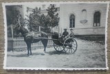 Cuplu in trasura// fotografie