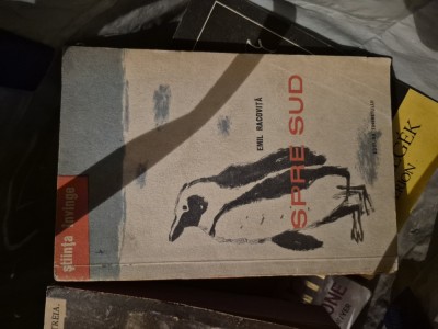 Spre sud vintage foto